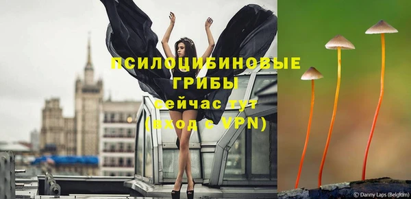 твердый Армянск